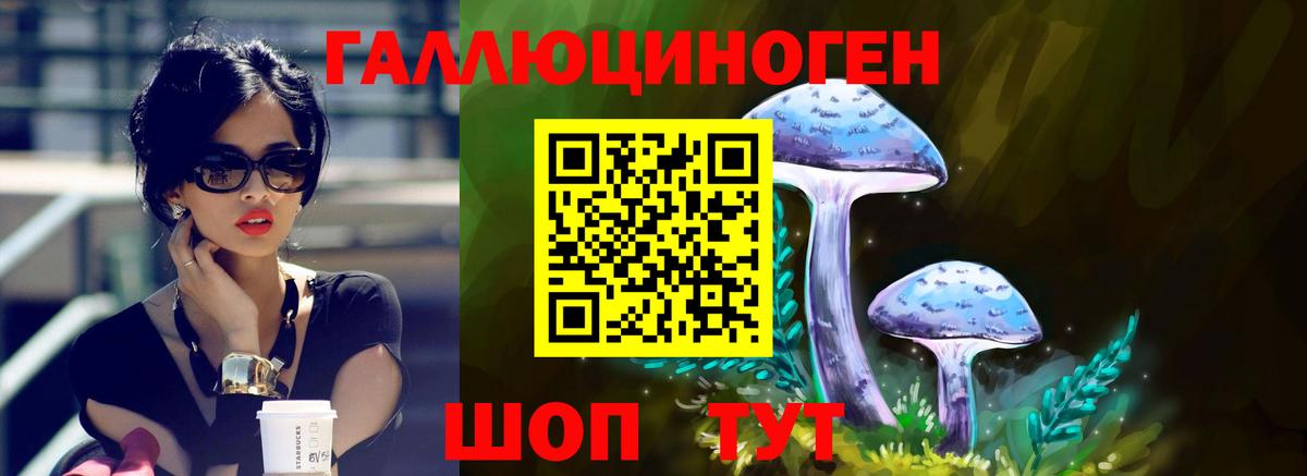 Галлюциногенные грибы MAGIC MUSHROOMS  Вход с VPN  Лангепас  Галлюциногенные грибы Cubensis 